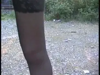 Deutscher Nutte auf dfie Nylons gewichst - Der ganze Clip