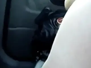 rich pussy of my freind