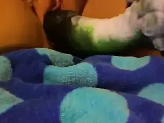 Bad Dragon & Friends-90
