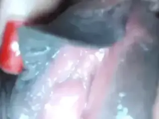 LA GATITA 2