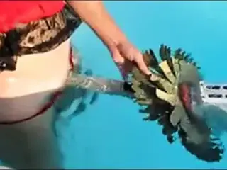 swimming pool robot1