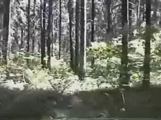 Rus spank