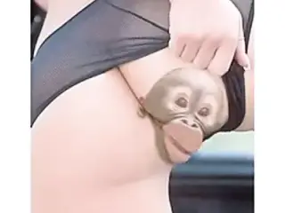 Singing pussy