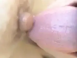 Nipples Self Sucking