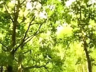Deutscher Porno 3