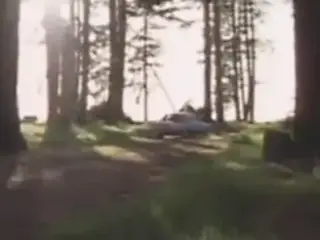 The Pleasure hunt 1984