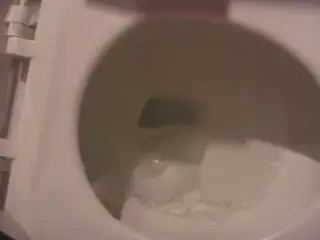 bathroom tease