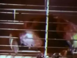 Definitely Vintage Blowjob Compilation