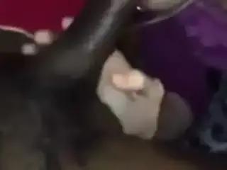 Beautiful Big Black Cock Blowjob 62