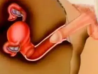 woman's impregnation