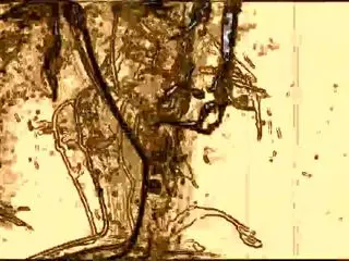 Beat Boy Art Video