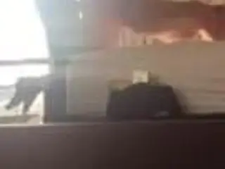 Fucking my girl doggystyle pt 2