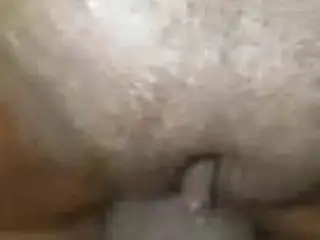 Black dick Penetration