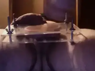 Femdom's daughter DESTROYS slave's ball in vise