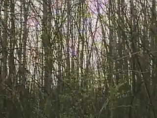 Une Epouse a tout faire (1980)