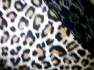 Cum on panty