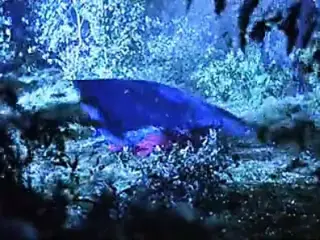 Patricia Arquette - Human Nature