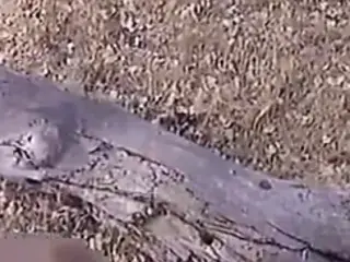 Dreckige Biker fantasy