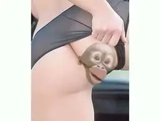 Ein bisschen Lustig