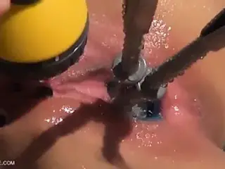 Dual core -  Queensnake.com, Queensect.com