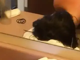 buttfuck her in the bathroom
