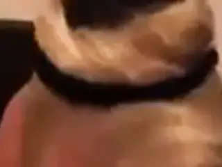 John Terrys Step Mum Sex Tape