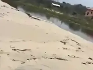 sex on the beach