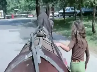 Virgin And the Lover - 1973 (Restored)