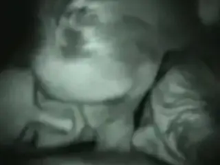 Three Heads Are Better Than One