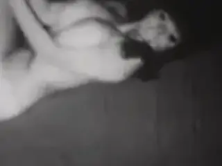 Shawn Devereaux Tit Queens of the sixties