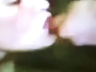 Gang Bang Bien Cogida