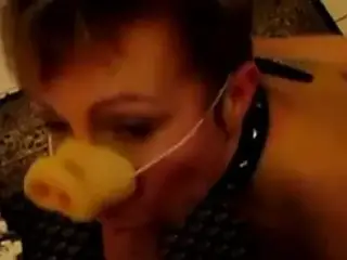 french pig loves french kissing