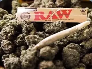 Girl Kush 2 Lesbian Fullmovie