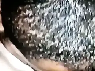 Lambendo a Buceta Gorda 4