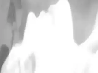 3200 days on x hamster  by  honeybee