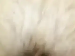 zoom sur penetration intime