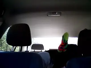 lunch in the car