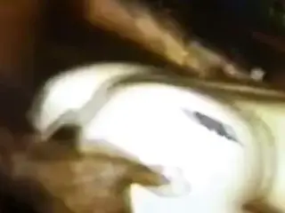 Anal Marine