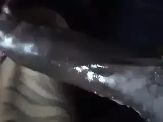 Get that nutt out