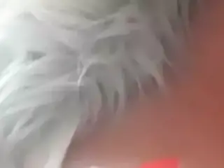 Big Tease