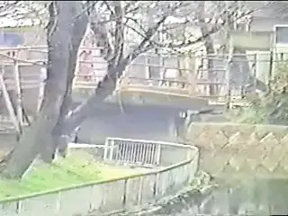 JPN Vintage Video(hitoyo no yume)
