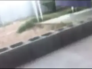 Ssbbw Giant Stomps and Destroys Tiny Toy Army Men!