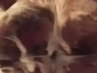 Stupid Booty