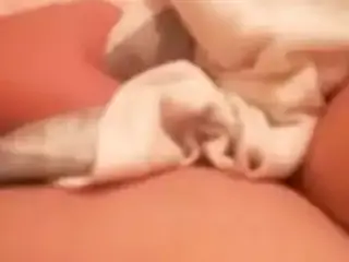 Tuga diverte-se sozinha