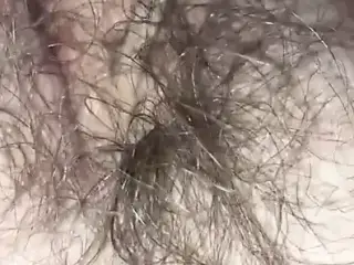 Hairy Creampie