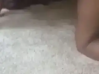 First white experience