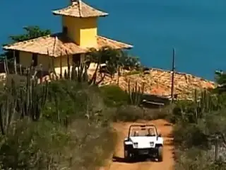 Brazilian Snake 2