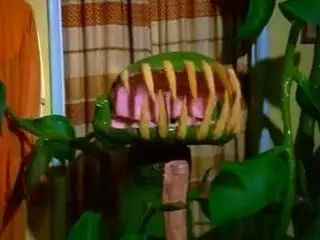 Please Don't Eat My Mother