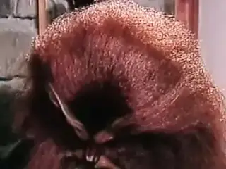 Beauty And The Beast Parody
