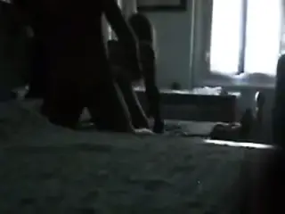 69 e pecora
